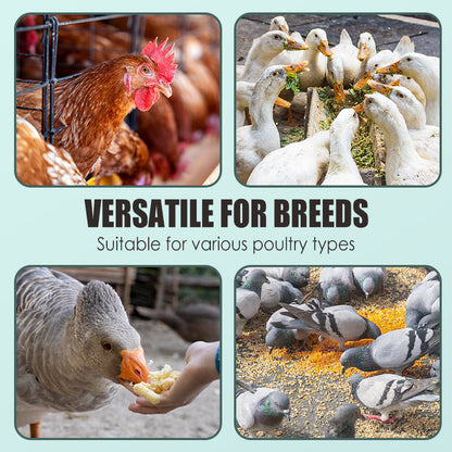 🐓🥚Eier-Booster Futterergänzung