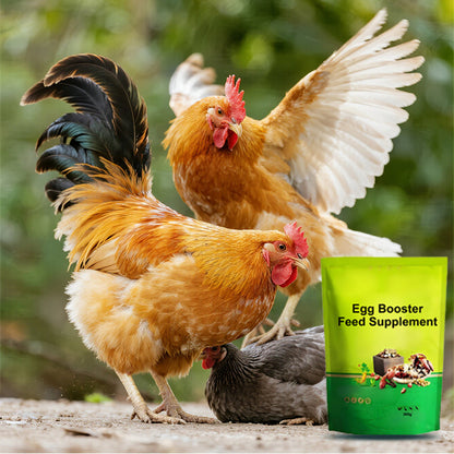 🐓🥚Eier-Booster Futterergänzung