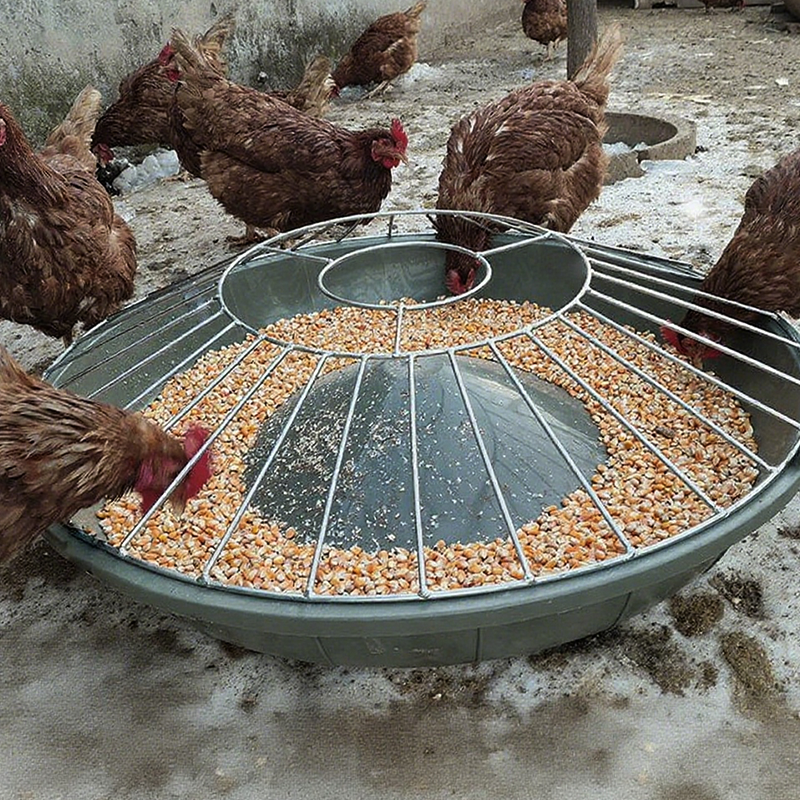Großer runder Futtertrog für Geflügel