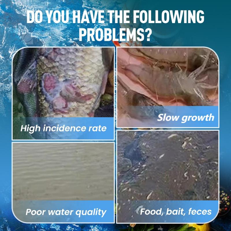 Hochkonzentriertes EM-Bakterienpulver für die Aquakultur