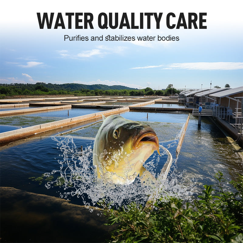 Hochkonzentriertes EM-Bakterienpulver für die Aquakultur