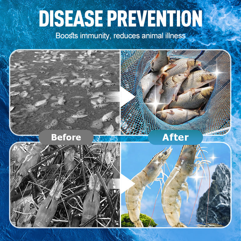 Hochkonzentriertes EM-Bakterienpulver für die Aquakultur