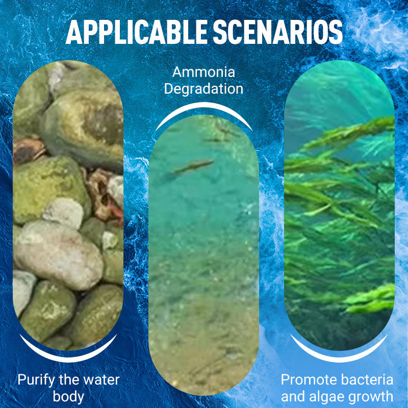 Hochkonzentriertes EM-Bakterienpulver für die Aquakultur
