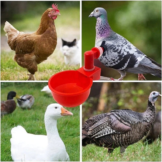 🔥🔥Geschenk für Hühnerliebhaber 49% OFF--🔥Automatische Hühnertränke Vogelhäuschen