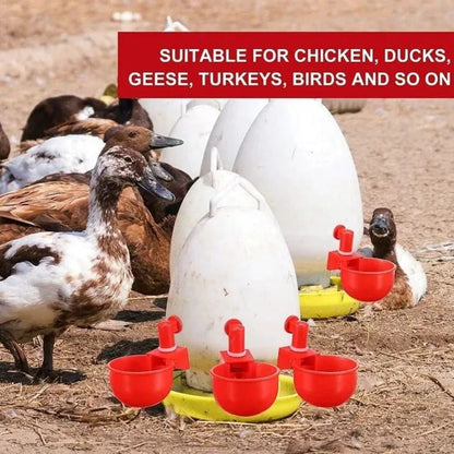 🔥🔥Geschenk für Hühnerliebhaber 49% OFF--🔥Automatische Hühnertränke Vogelhäuschen