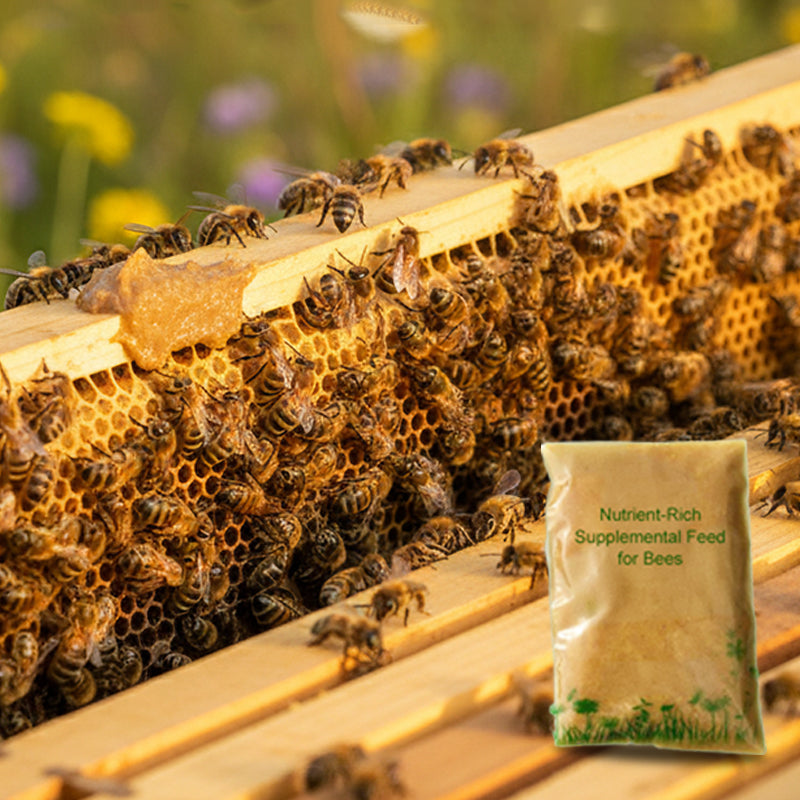 Nährstoffreiches Ergänzungsfuttermittel mit Blütenpollen für Bienen