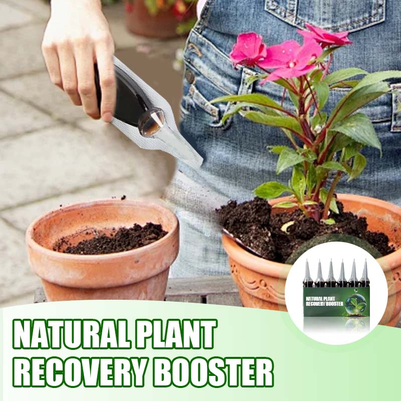 Natural Plant Recovery Booster With Essential Nutrients