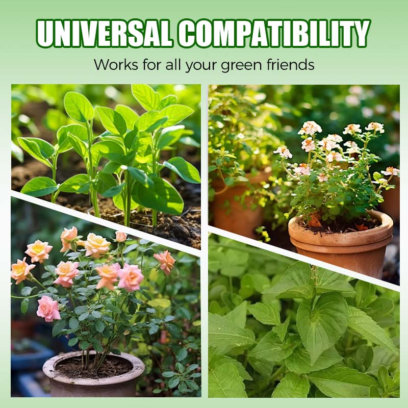 Natural Plant Recovery Booster With Essential Nutrients