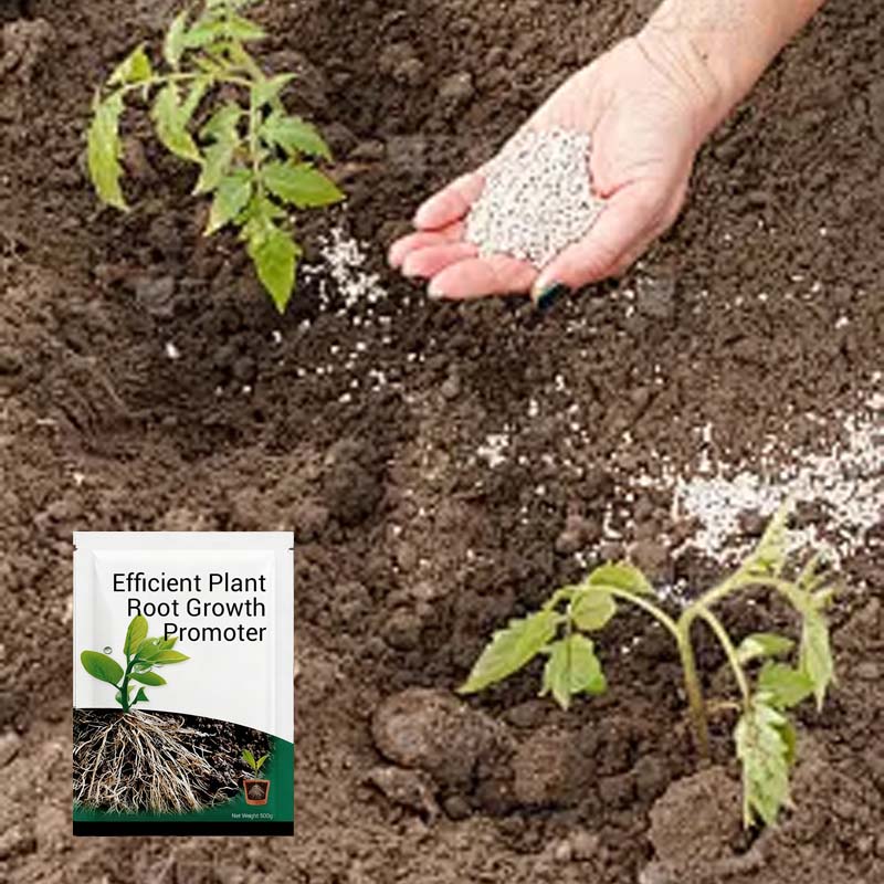 🍃Wurzelwachstumsförderndes Pulver