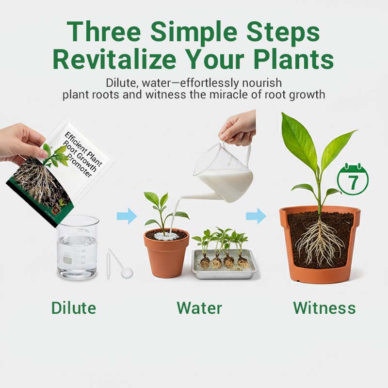 🍃Wurzelwachstumsförderndes Pulver