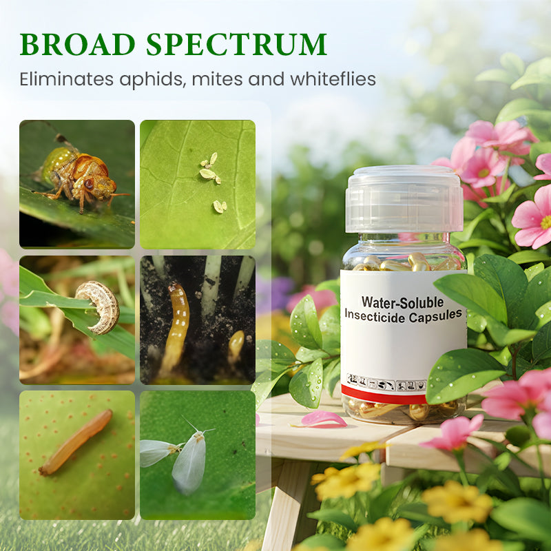 Wasserlösliche Insektizid-Kapseln für gesunde Blumen