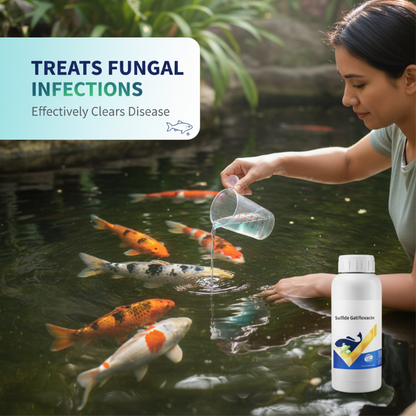 Aquatic Fungal & Bacterial Treatment for Ponds