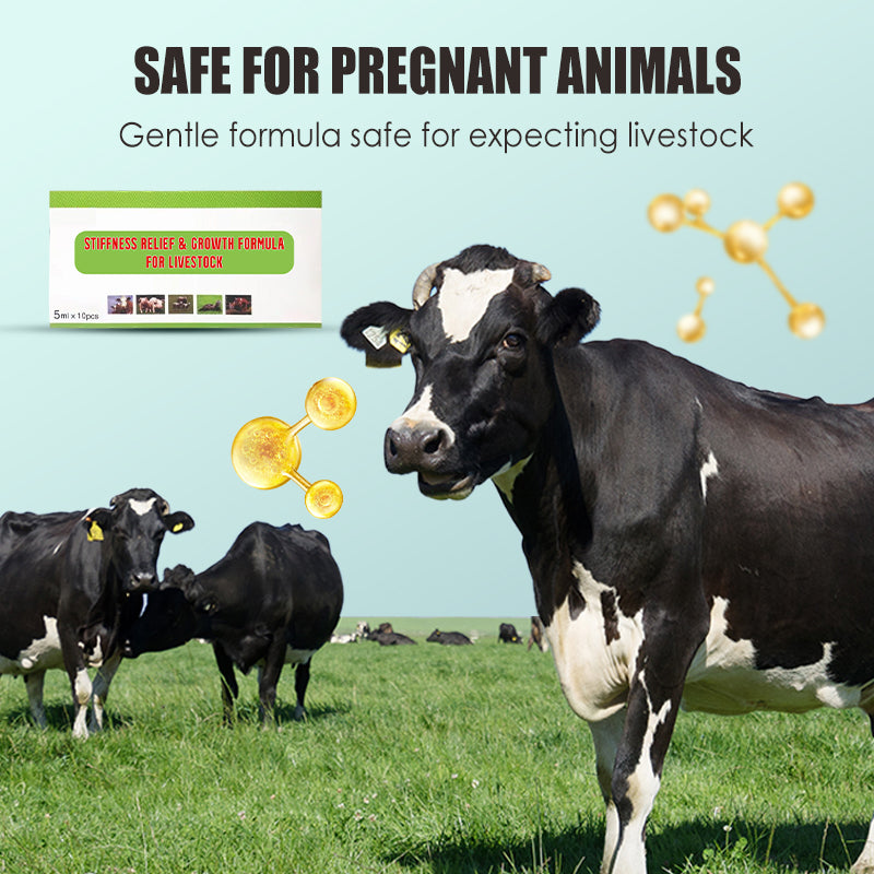 Formel zur Linderung von Steifheit und Förderung des Wachstums bei Nutztieren