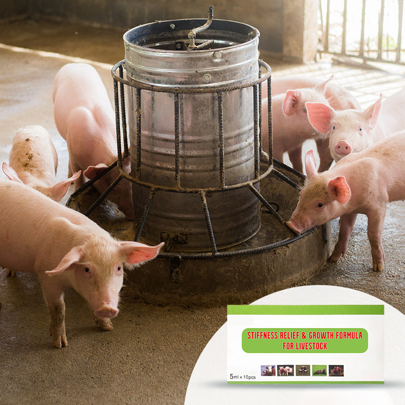 Formel zur Linderung von Steifheit und Förderung des Wachstums bei Nutztieren