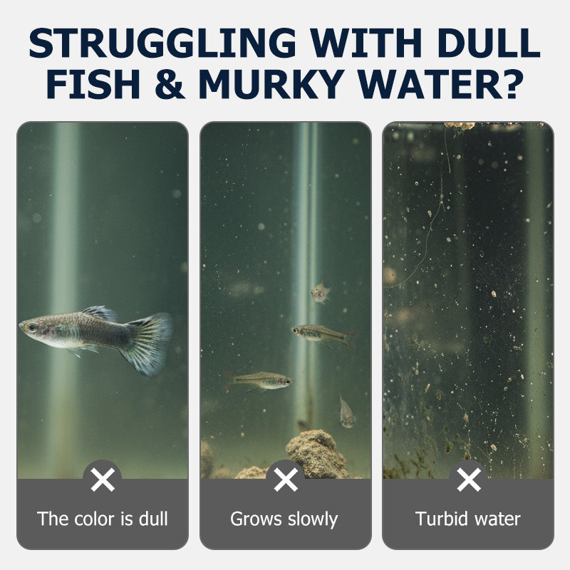 Proteinreiches Fischfutter für kleine Fische