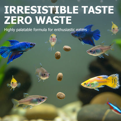 Proteinreiches Fischfutter für kleine Fische