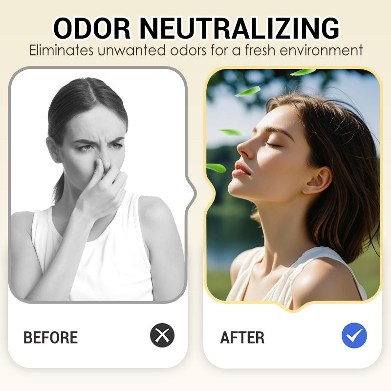 ⏰ 50% RABATT | ❄️ Schneekugelförmiger Aromatherapie-Diffusor – Langanhaltender Duft & frische Luft zuhause!