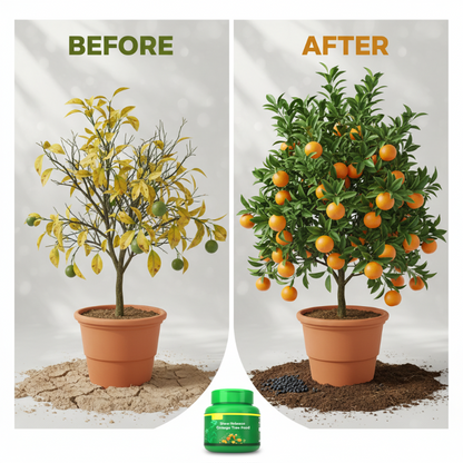 Spezial-Langzeitdünger für Orangenbäume