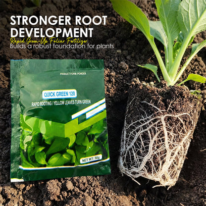 Blattdünger mit Sofort-Grün-Effekt