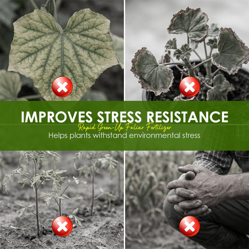 Blattdünger mit Sofort-Grün-Effekt