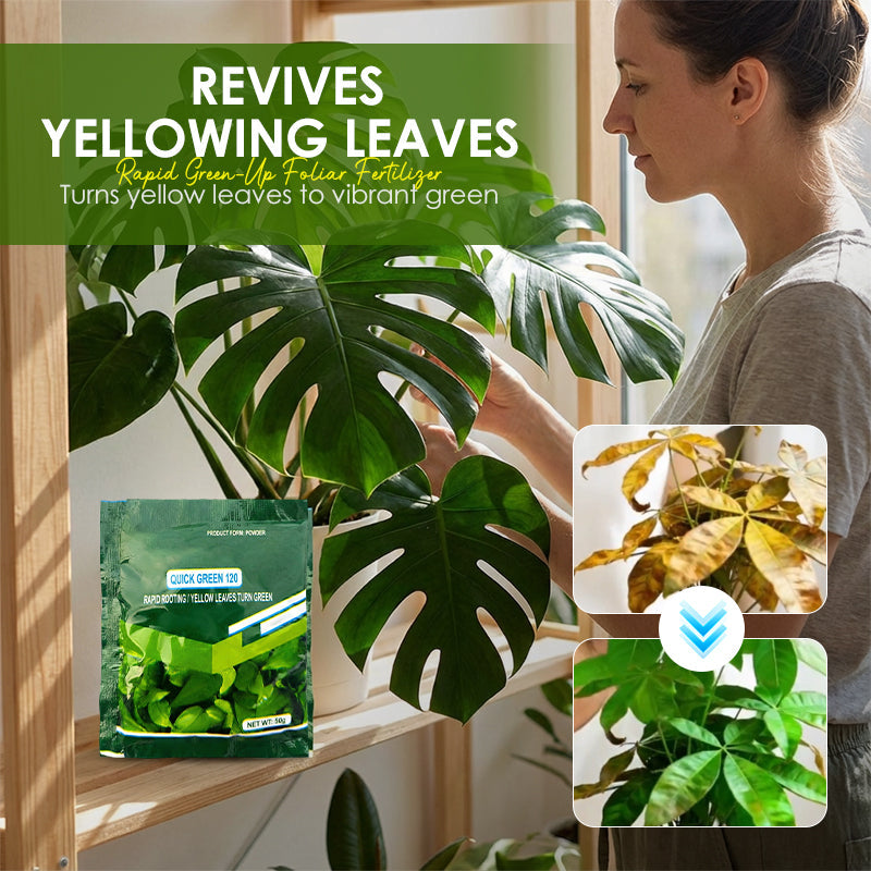 Blattdünger mit Sofort-Grün-Effekt