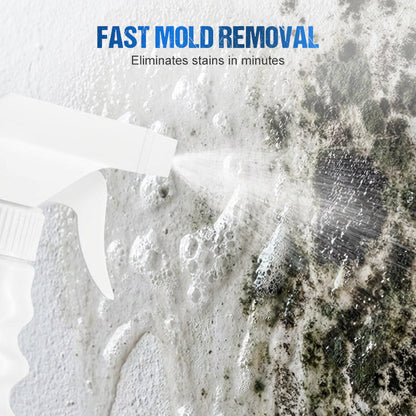 500ml Wand-Schimmel- und Schimmelpilzentferner-Spray