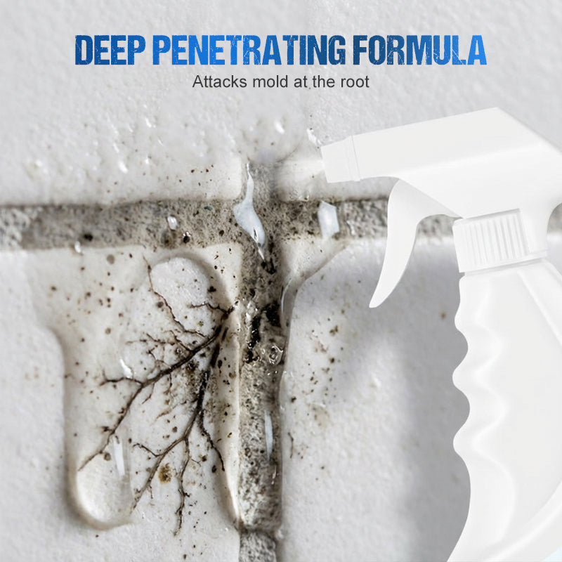 500ml Wand-Schimmel- und Schimmelpilzentferner-Spray