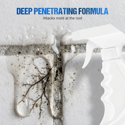 500ml Wand-Schimmel- und Schimmelpilzentferner-Spray