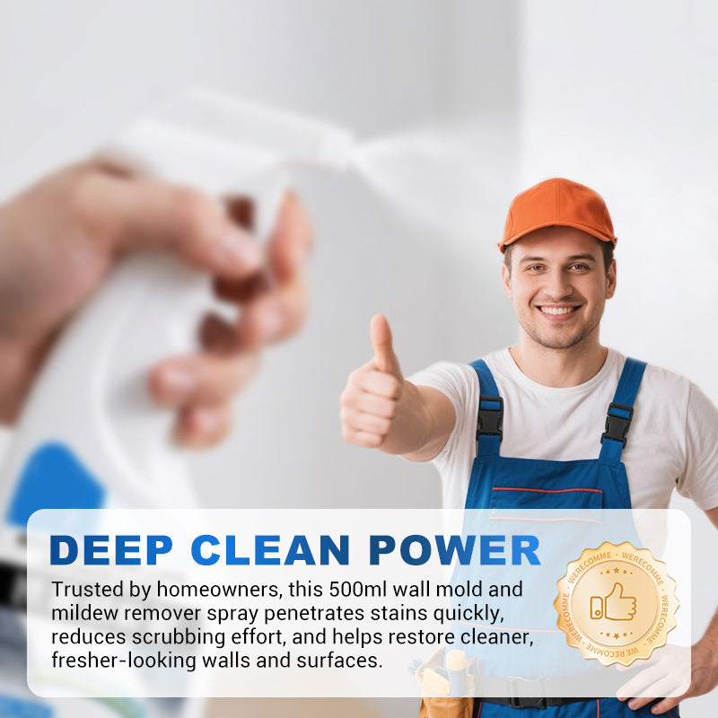 500ml Wand-Schimmel- und Schimmelpilzentferner-Spray