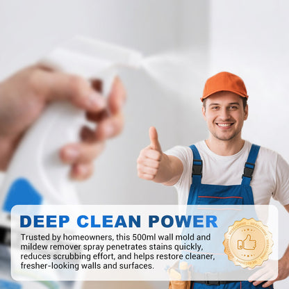 500ml Wand-Schimmel- und Schimmelpilzentferner-Spray