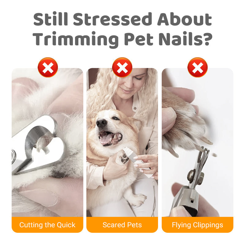 🐕 KAUFE 2, ERHALTE 1 GRATIS! 🔥 Hundenagelfeile aus Holz mit austauschbaren Schleifpads – Sanft & leise – Ideal für Hunde, Katzen & Kleintiere – präzise Pflege ohne Stress 🐾✨