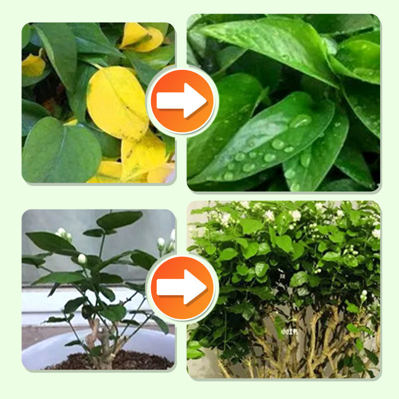 Langzeit-Düngerstäbchen für Pflanzen