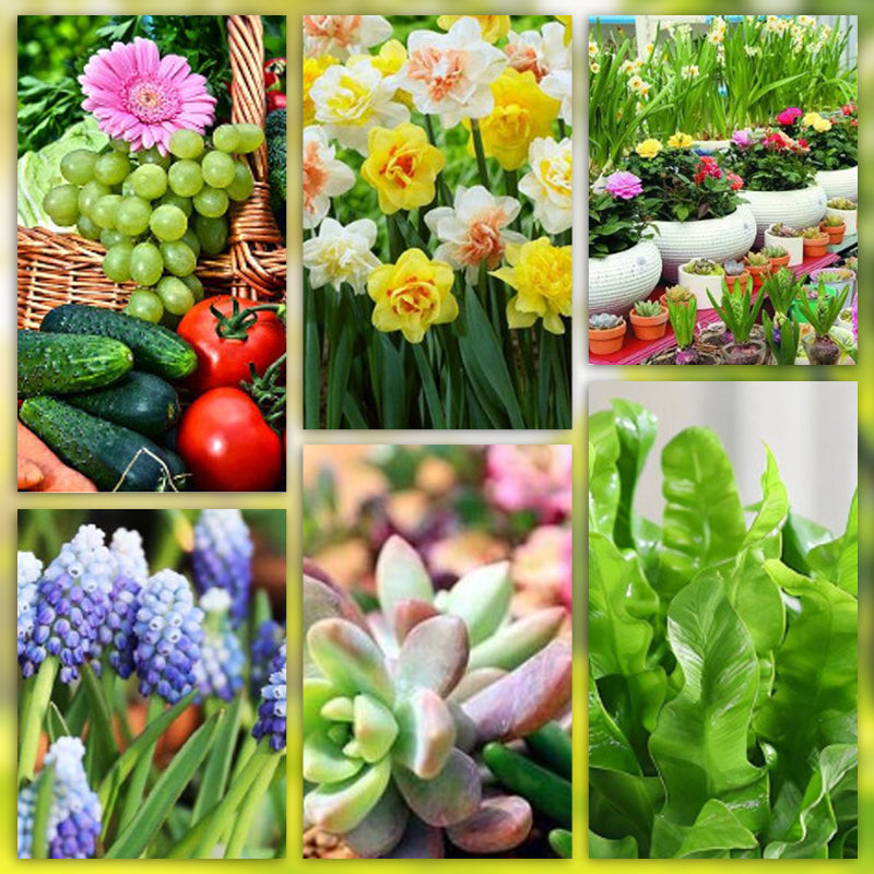 Langzeit-Düngerstäbchen für Pflanzen