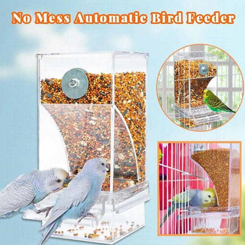 🎉 Zeitlich begrenztes Angebot: 50 % Rabatt 🐦 Automatisches Vogelfutterhaus – keine Kleckerei