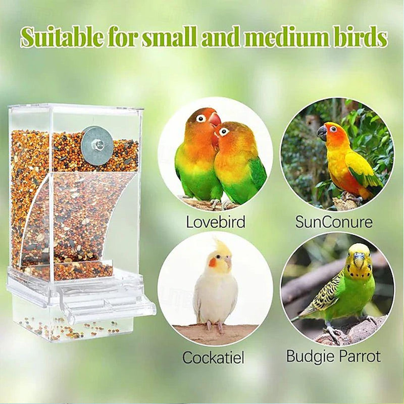🎉 Zeitlich begrenztes Angebot: 50 % Rabatt 🐦 Automatisches Vogelfutterhaus – keine Kleckerei