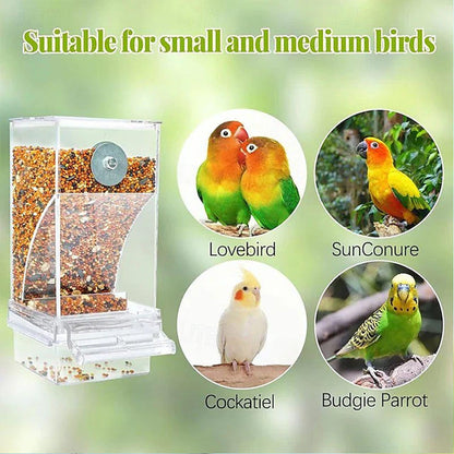 🎉 Zeitlich begrenztes Angebot: 50 % Rabatt 🐦 Automatisches Vogelfutterhaus – keine Kleckerei