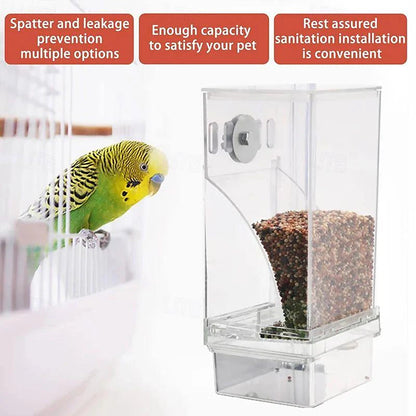 🎉 Zeitlich begrenztes Angebot: 50 % Rabatt 🐦 Automatisches Vogelfutterhaus – keine Kleckerei