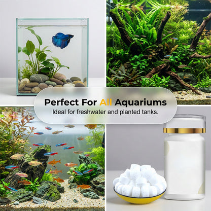 Mittel gegen grünes Wasser und Moos im Aquarium