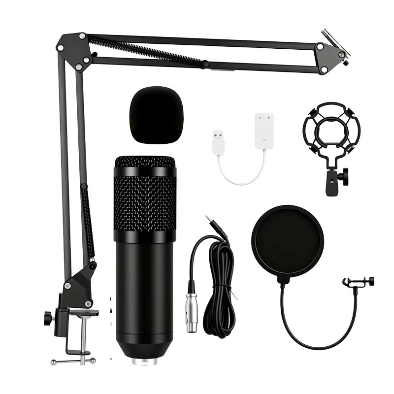 Professionelles Kondensatormikrofon-Set mit Galgenstativ