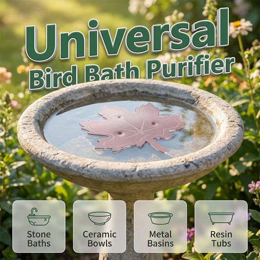 💞 Über 100.000 verkauft! Sommerhit 2026 – nur kurze Zeit -50%🍁Universeller Vogelbad-Reiniger