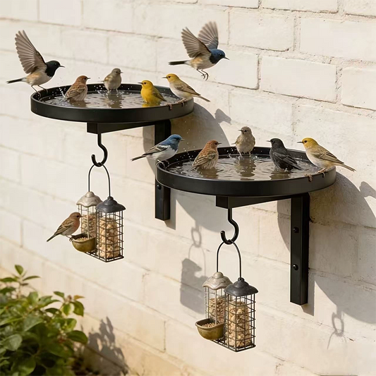 📢📢50 % Rabatt!!🥳🐦Wandmontierter Eisen-Vogeltränke & Futterhaus – dekoratives Kunsthandwerk für Garten, Terrasse & Balkon 🌿🌸
