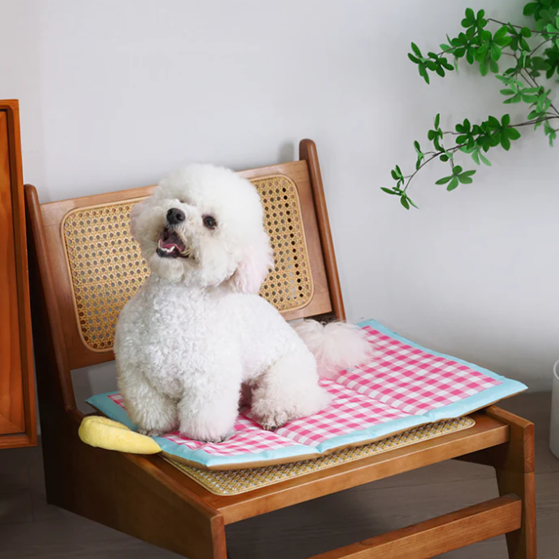 🐕💦🐕Wasserdichte, doppelseitige Kühlmatte für Haustiere🧊