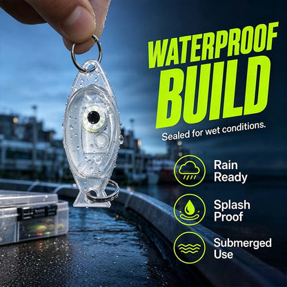🎣💡 Angel-LED-Leuchte – wasserdicht, extrahell für Nachtangeln 🌊🔦 Kompakt, clip-on, 4 Farben, Ködersichtbarkeit verbessern – ideal für Boot & Ufer.