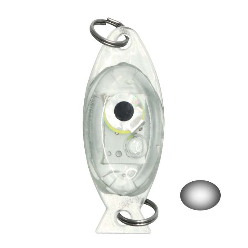 🎣💡 Angel-LED-Leuchte – wasserdicht, extrahell für Nachtangeln 🌊🔦 Kompakt, clip-on, 4 Farben, Ködersichtbarkeit verbessern – ideal für Boot & Ufer.