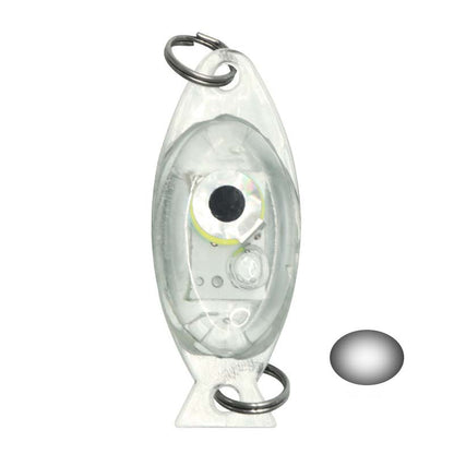 🎣💡 Angel-LED-Leuchte – wasserdicht, extrahell für Nachtangeln 🌊🔦 Kompakt, clip-on, 4 Farben, Ködersichtbarkeit verbessern – ideal für Boot & Ufer.