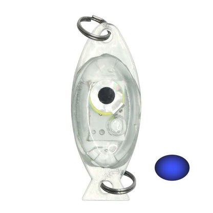 🎣💡 Angel-LED-Leuchte – wasserdicht, extrahell für Nachtangeln 🌊🔦 Kompakt, clip-on, 4 Farben, Ködersichtbarkeit verbessern – ideal für Boot & Ufer.
