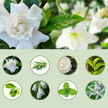 ✨50 % RABATT✨🎶Automatischer Aromatherapie-Diffusor 🌿✨ | Ultraschall-Zerstäubung · Zeitgesteuertes Sprühen · Smart Display · Wand- & Tischmontage