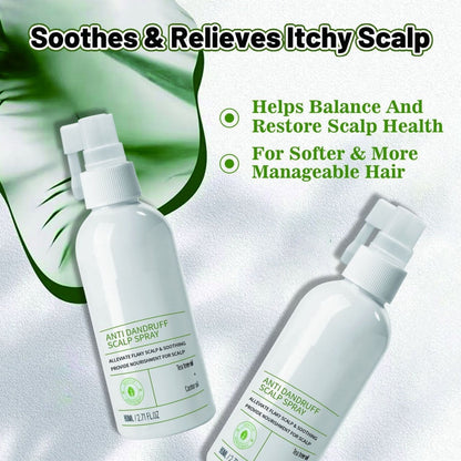 🛡️🌱 Kopfhautspray gegen Schuppen & Juckreiz – beruhigend, feuchtigkeitsspendend – für gesundes Haar! 💪