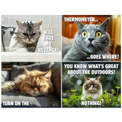 ⏳Nur für kurze Zeit – 50% RABATT⏰🐱 Lustiger Katzenkalender – 12 Monate frecher Katzenhumor
