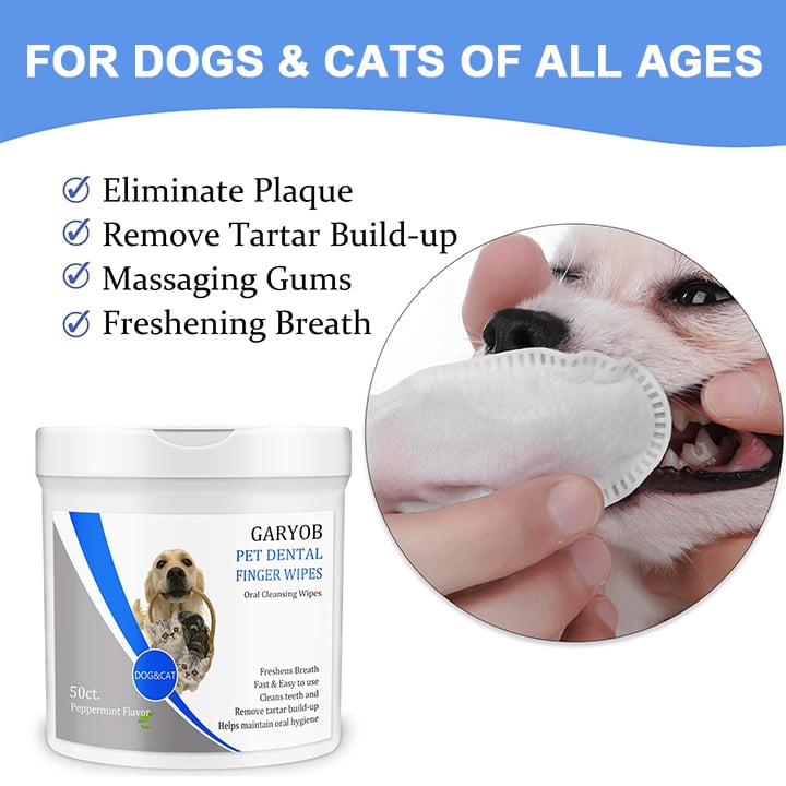 🐱🐶 Zahnpflege Finger-Pads für Haustiere – Für Katze & Hund, Sanft, 50 Stück, Frischer Atem! ✨